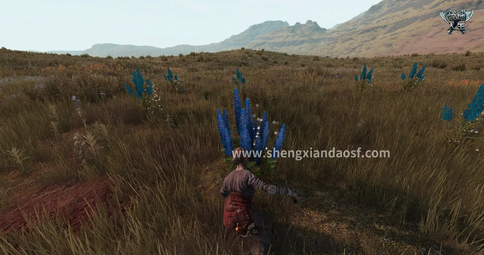 神仙道私服界面